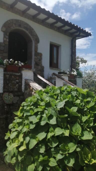 Apartamento En Casa Rural Con Amplio Jardin A 5 Min De La Playa Situacion Inmejorable La Riera  エクステリア 写真